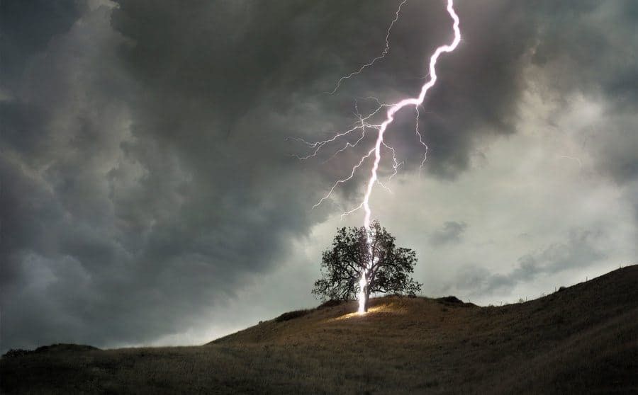 A lightning bolt striking a single tree in a field with a dramatic stormy sky.
