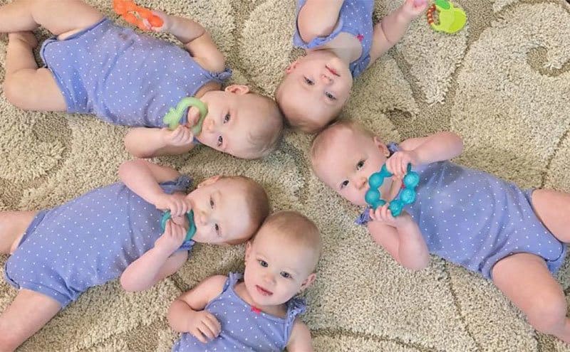 The newborn quintuplets are lying on their backs on the rug. 