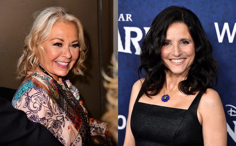 Roseanne arriving to an event / Julia Louis-Dreyfuss on the red carpet 