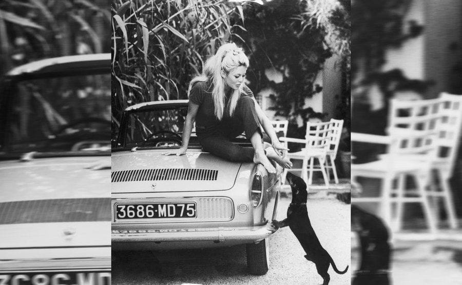 Brigitte Bardot relaxing sitting on the hood of her car with her pet dachshund at her villa in France 