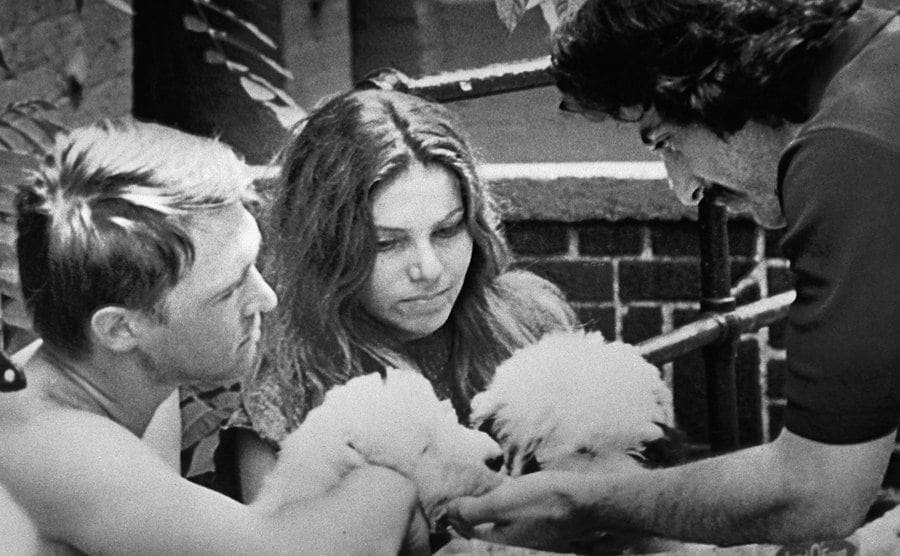 Al Pacino as Frank Serpico in a movie still from the film ‘Serpico’ petting two dogs. 