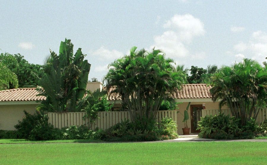 An outside view to O.J. Simpson's mansion in Florida.