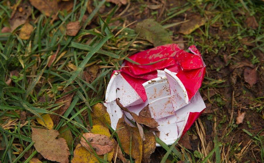 A smashed plastic cup is left in the grass after a party. 