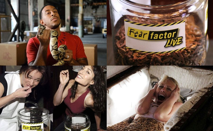 Ludacris / Fear Factor logo / Renee Culvert, Dani Rayne.