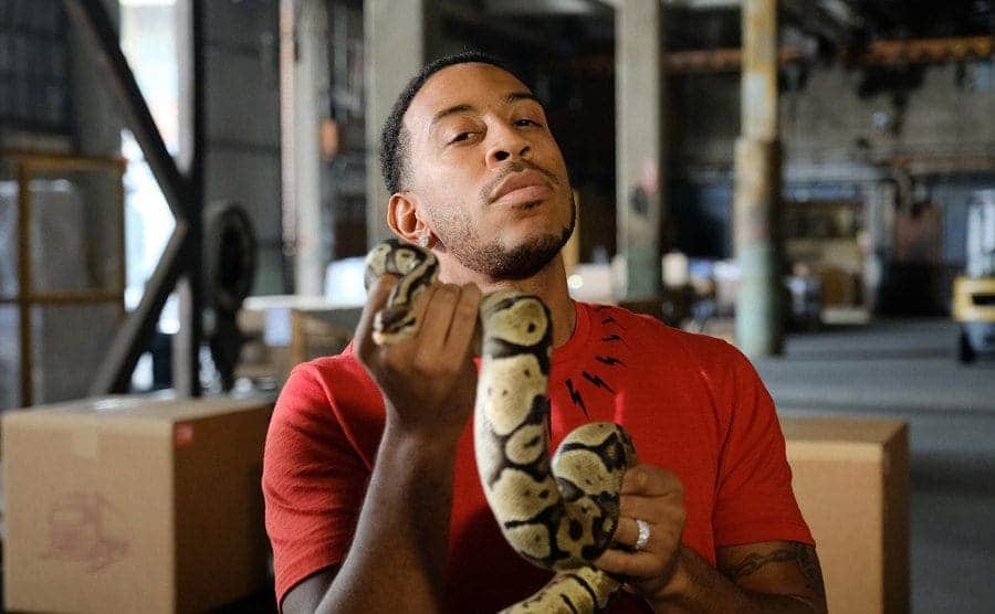 Ludacris holds a snake with both hands. 