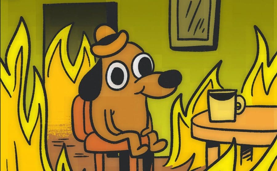 Human-like dog stares at the coffee mug while the room bursts into flames.