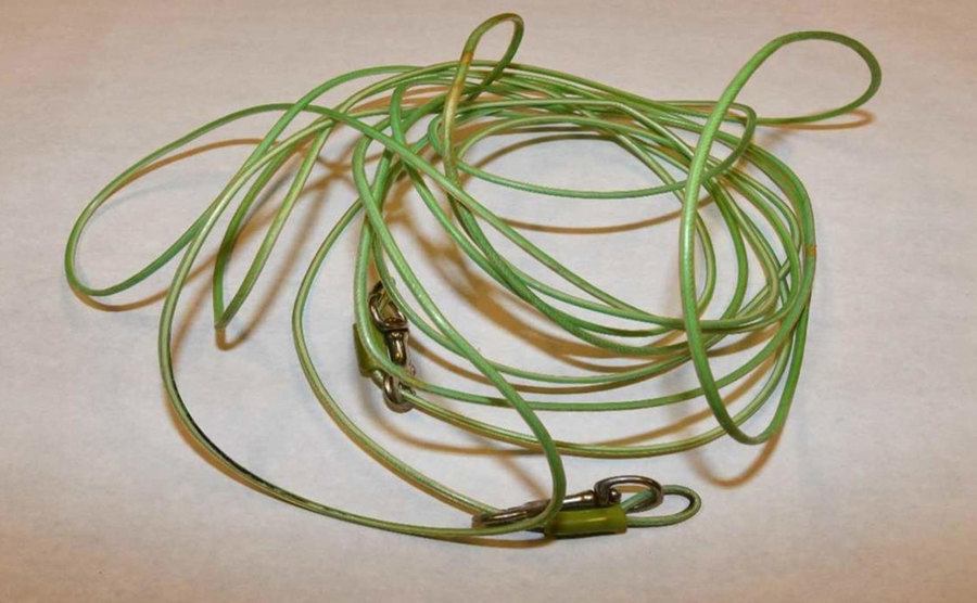 A photo of a green string as evidence.