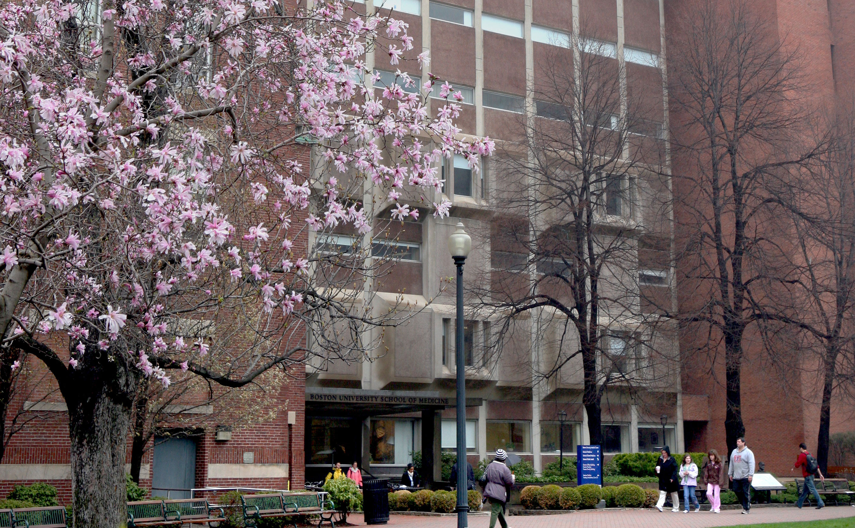 An exterior shot of Boston University's School of Medicine.