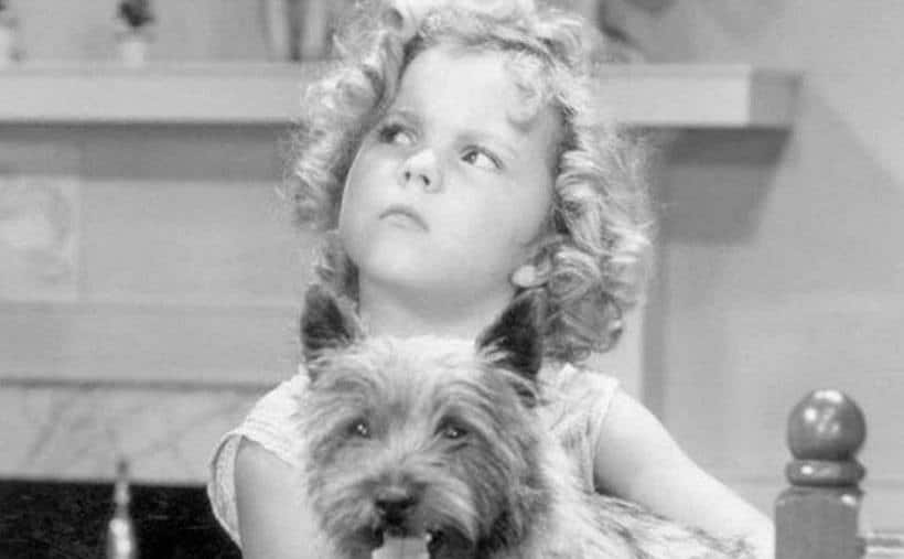 A Still of Shirley Temple in Bright Eyes.