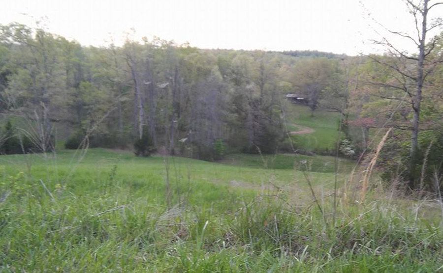 A picture of the landscape view from the farm.