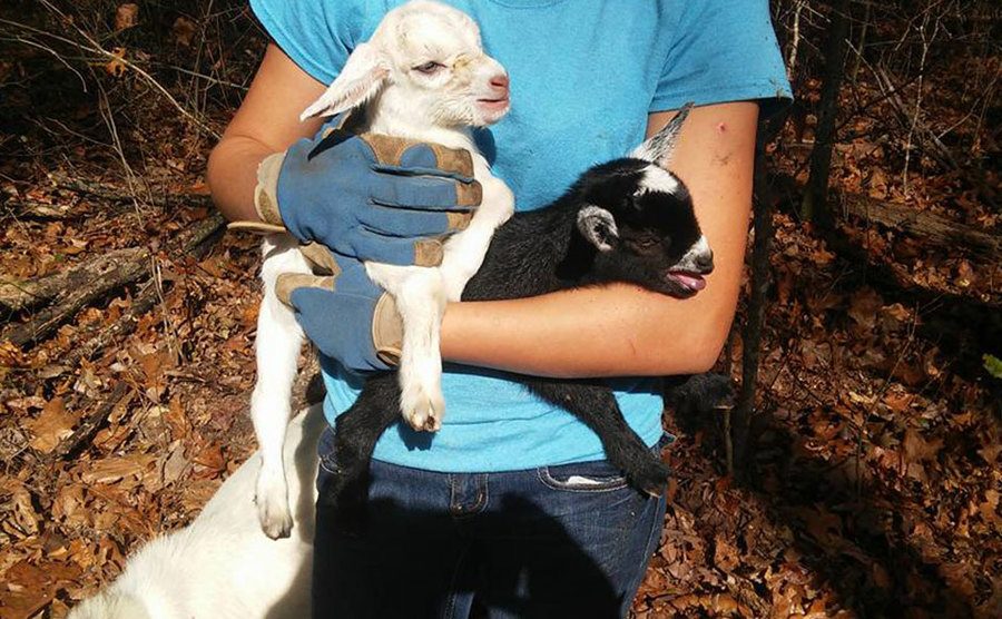 A dated picture of Savannah holding the baby goats at the farm.