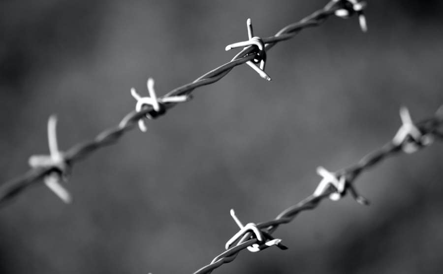 A closeup of a barbed-wire fence.