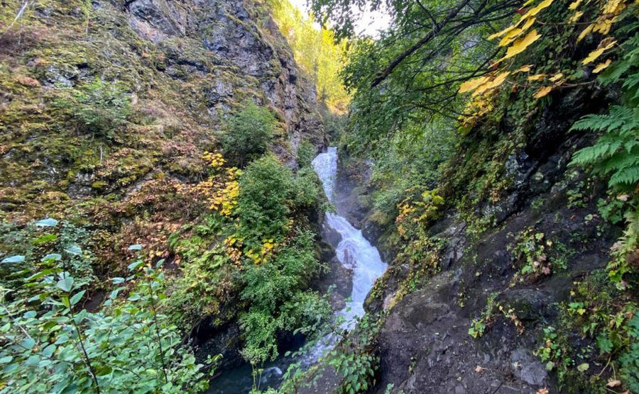 A photo of the Thunderbird Falls trail.
