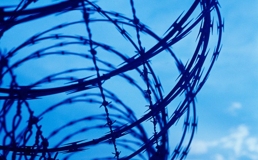 An image of a barbed wire fence.