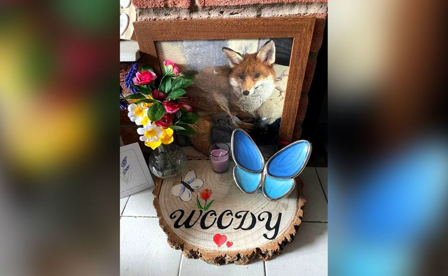 A memorial for Woody sits on a shelf. 